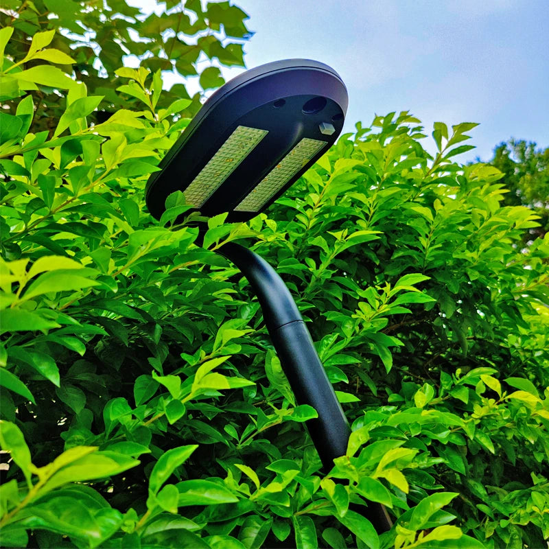 Solar LED Garden Pathway Lights – 2 Pack