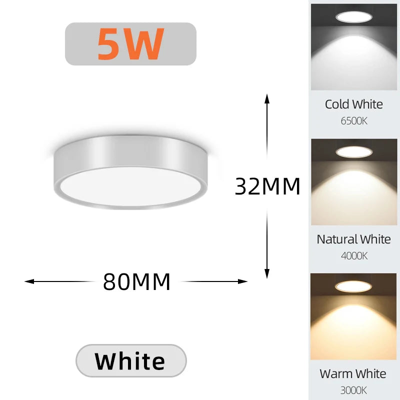 Surface Mounted LED Downlight Spotlight