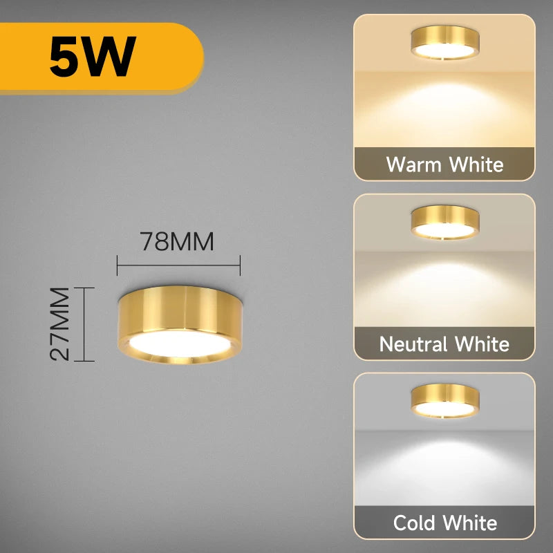 Surface Mounted LED Downlight Spotlight