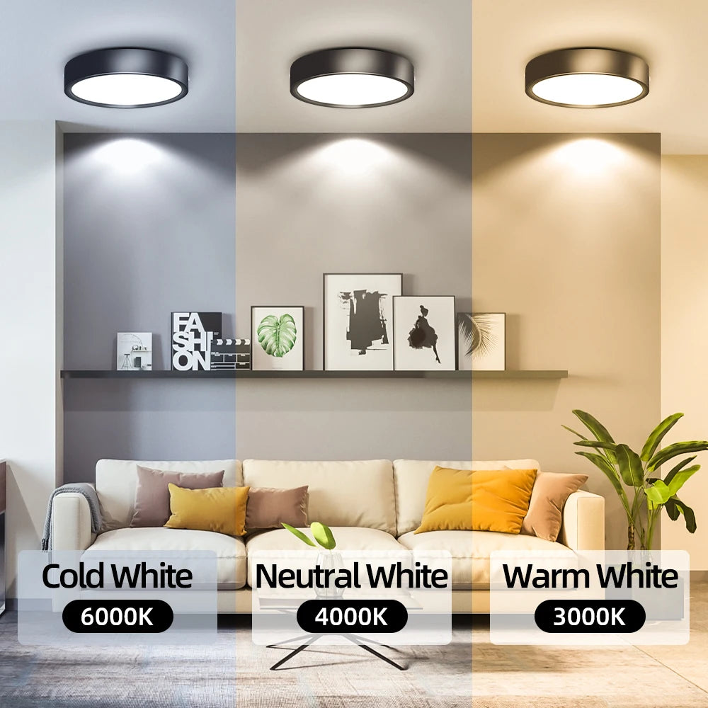 Surface Mounted LED Downlight Spotlight