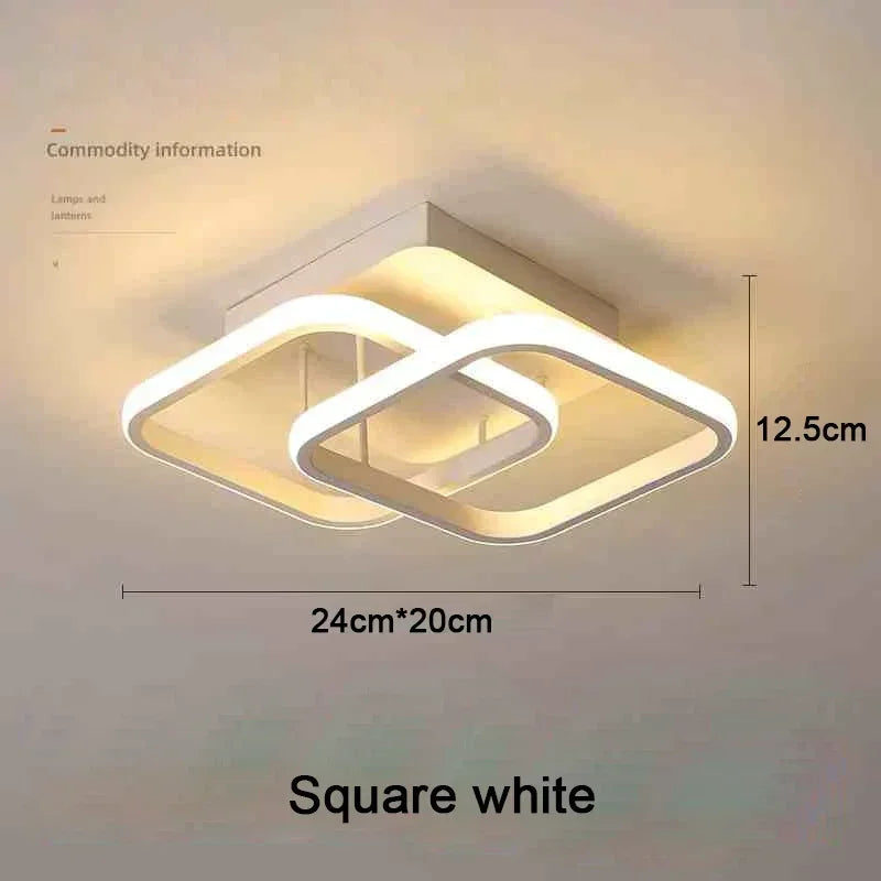 Modern LED Surface Mounted Ceiling Light – 3 Color Dimming